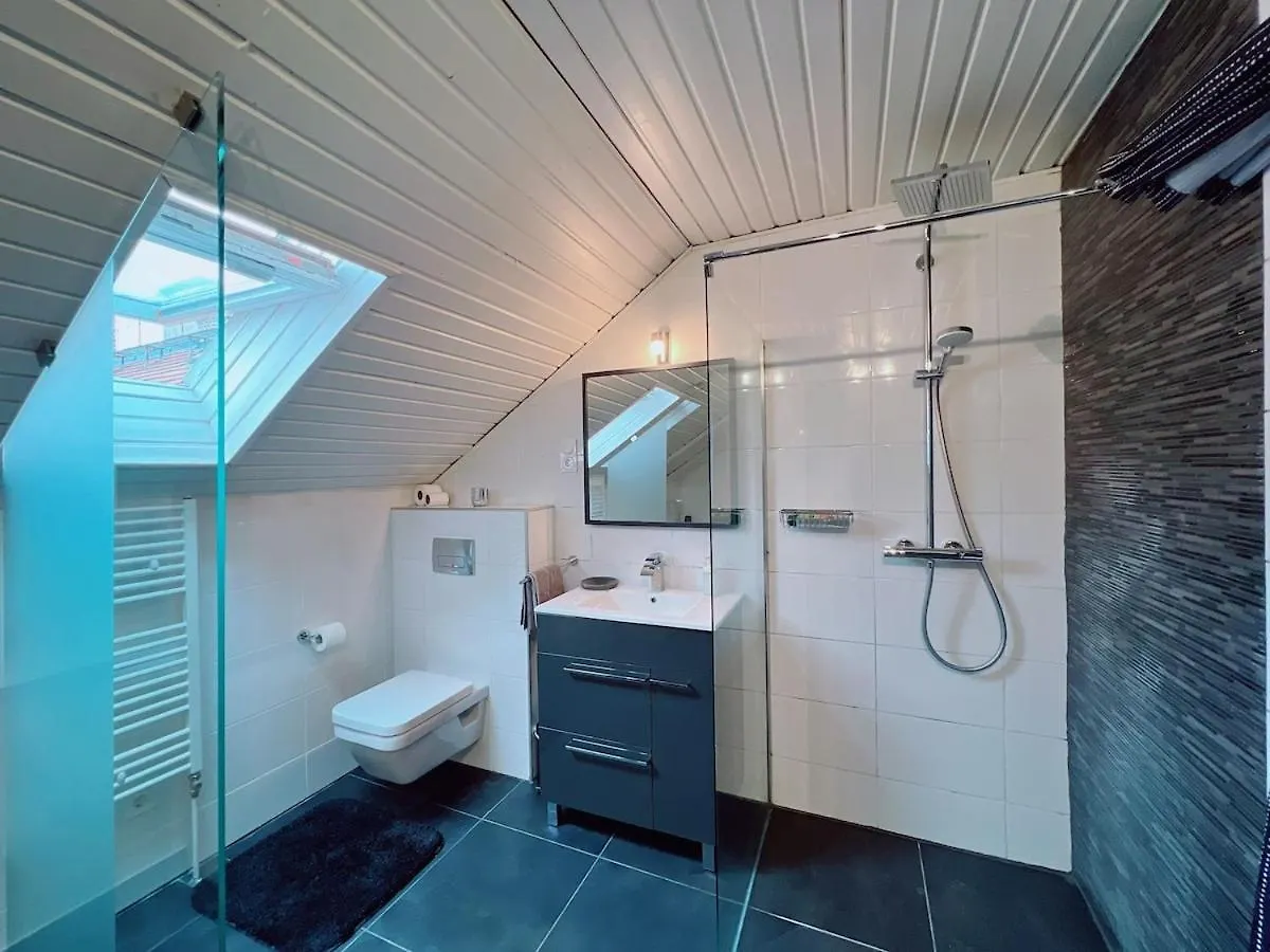Wellness Penthouse Sauna & Jacuzzi-Heart Of City 布达佩斯 公寓